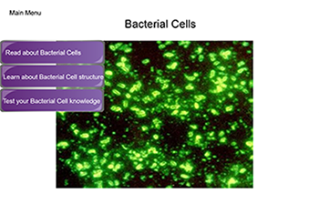 Bacterial Cell Lesson Screen